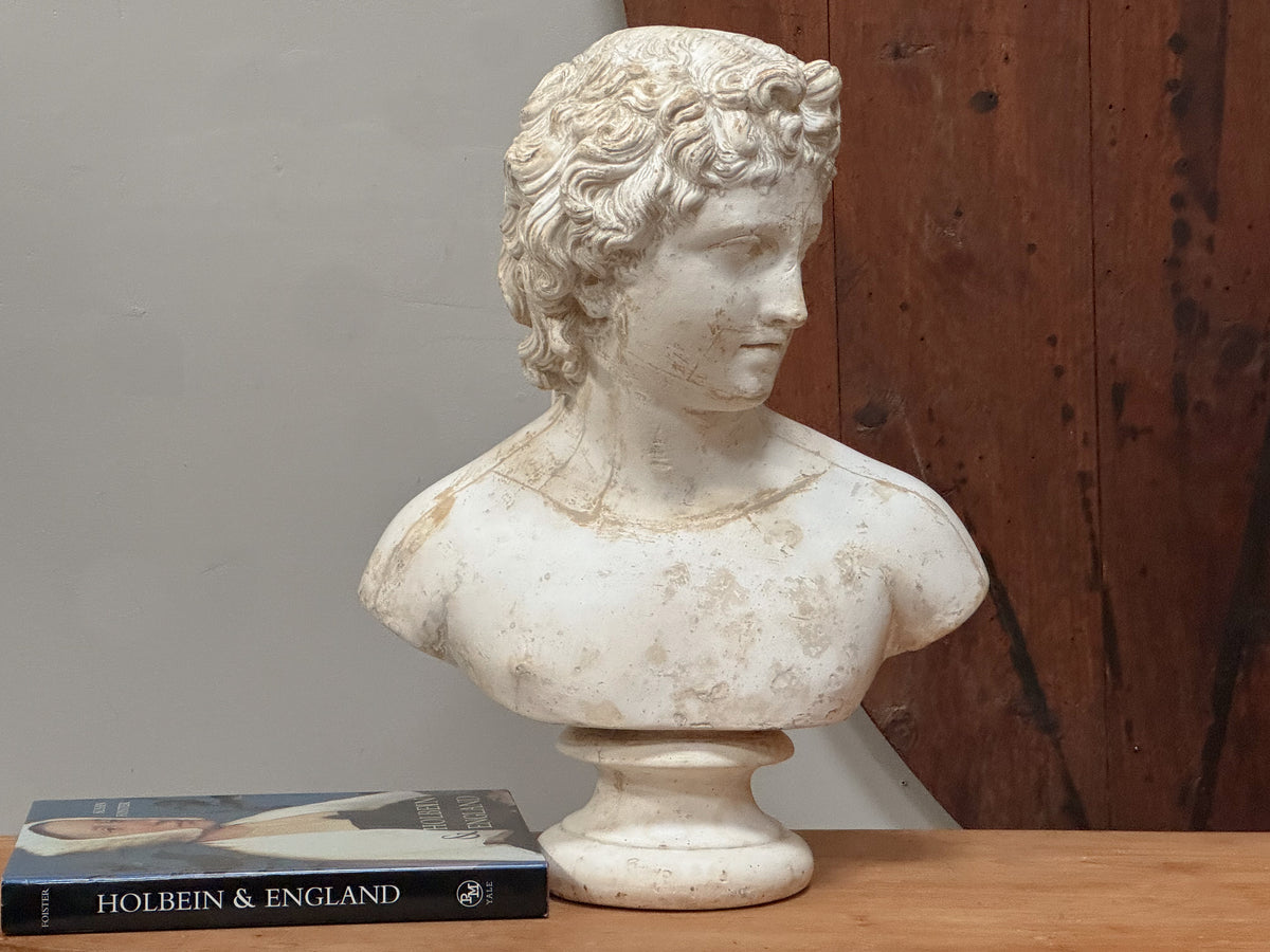 A Rare Plaster Bust of a Young Roman by Brugiotti