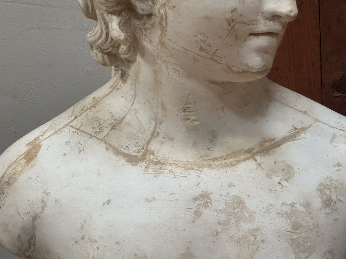 A Rare Plaster Bust of a Young Roman by Brugiotti