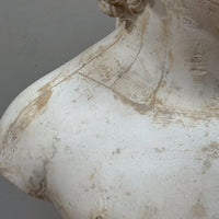 A Rare Plaster Bust of a Young Roman by Brugiotti