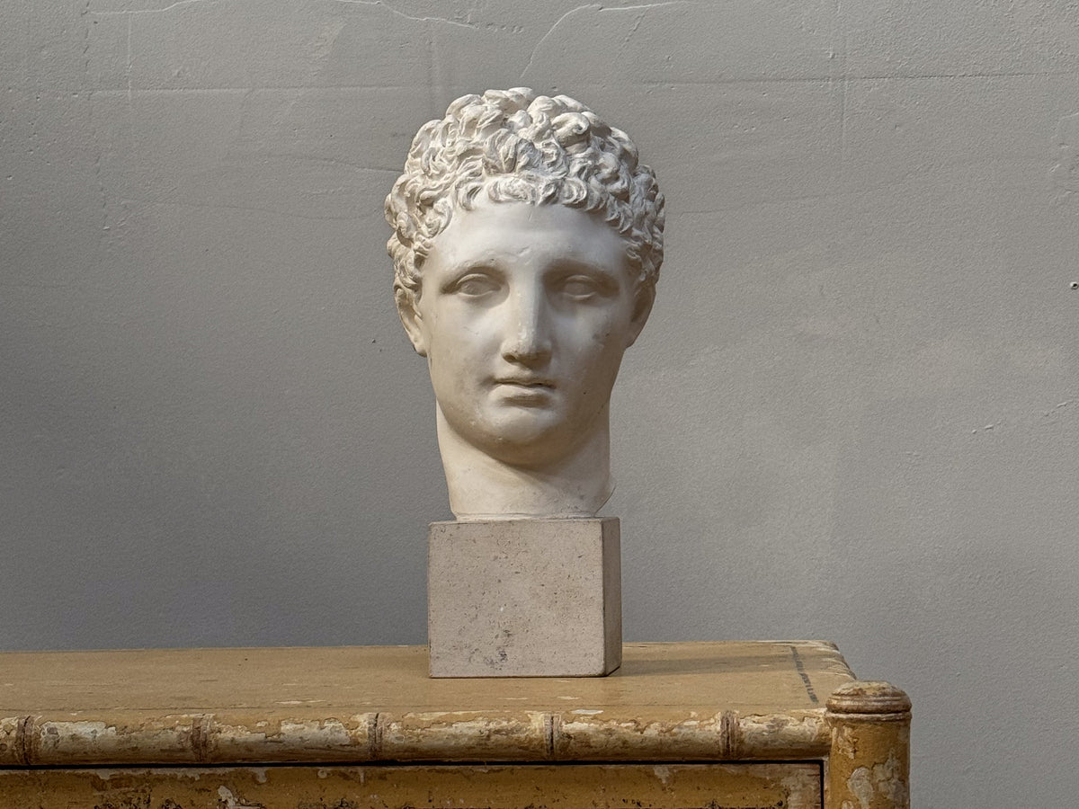 A Plaster Bust of a Roman