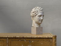 A Plaster Bust of a Roman