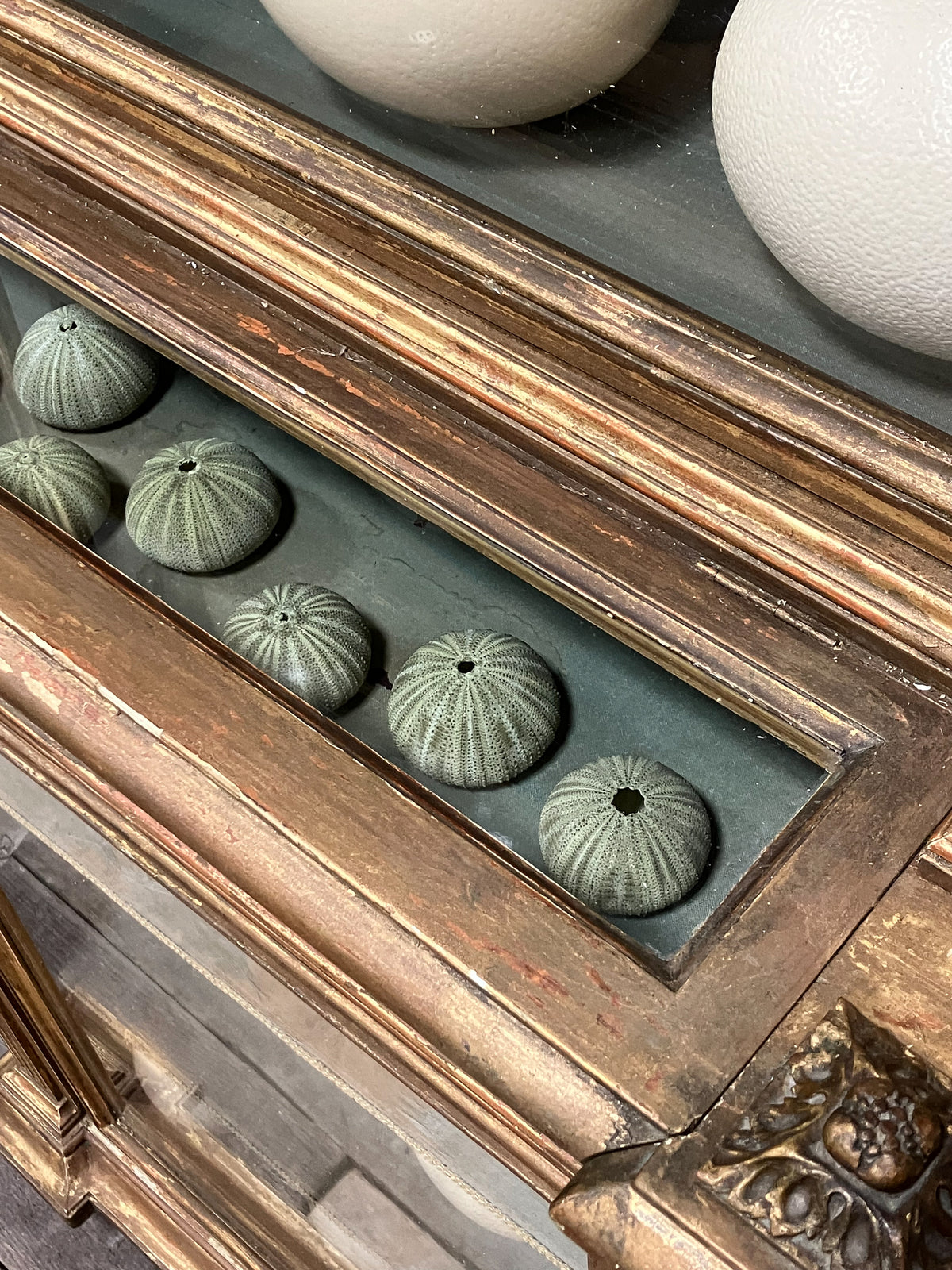 An Early 19th Century Giltwood Display Cabinet