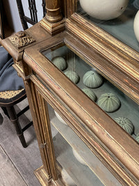 An Early 19th Century Giltwood Display Cabinet