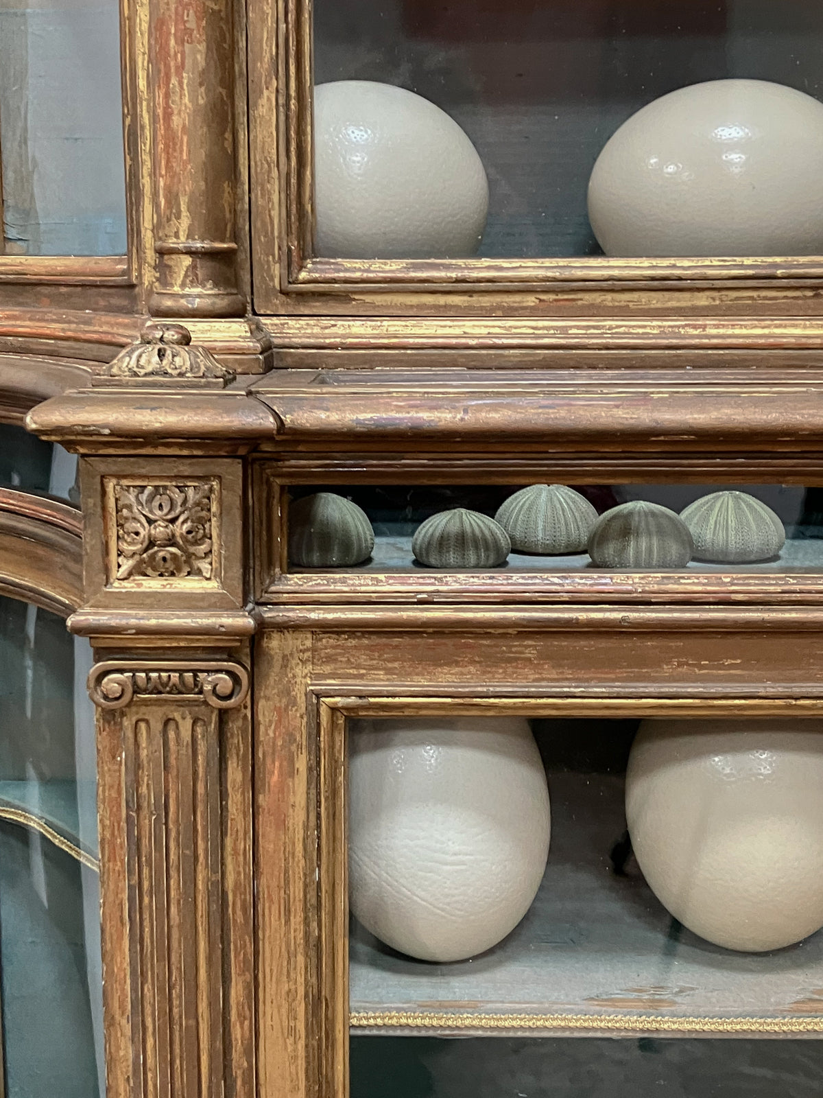 An Early 19th Century Giltwood Display Cabinet