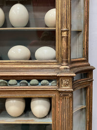 An Early 19th Century Giltwood Display Cabinet