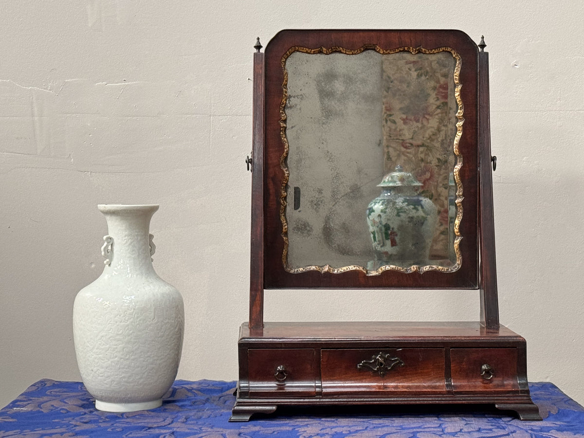 A George III Mahogany Swing Mirror