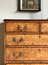 A George II Burr Oak Chest of Drawers