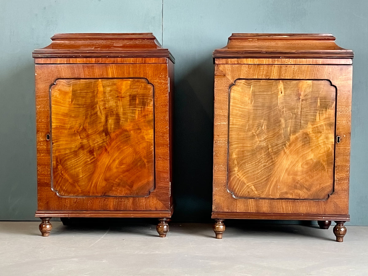 A Pair of Regency Pedestal Cabinets