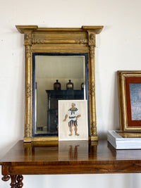 19th Century Regency Style Pier Mirror