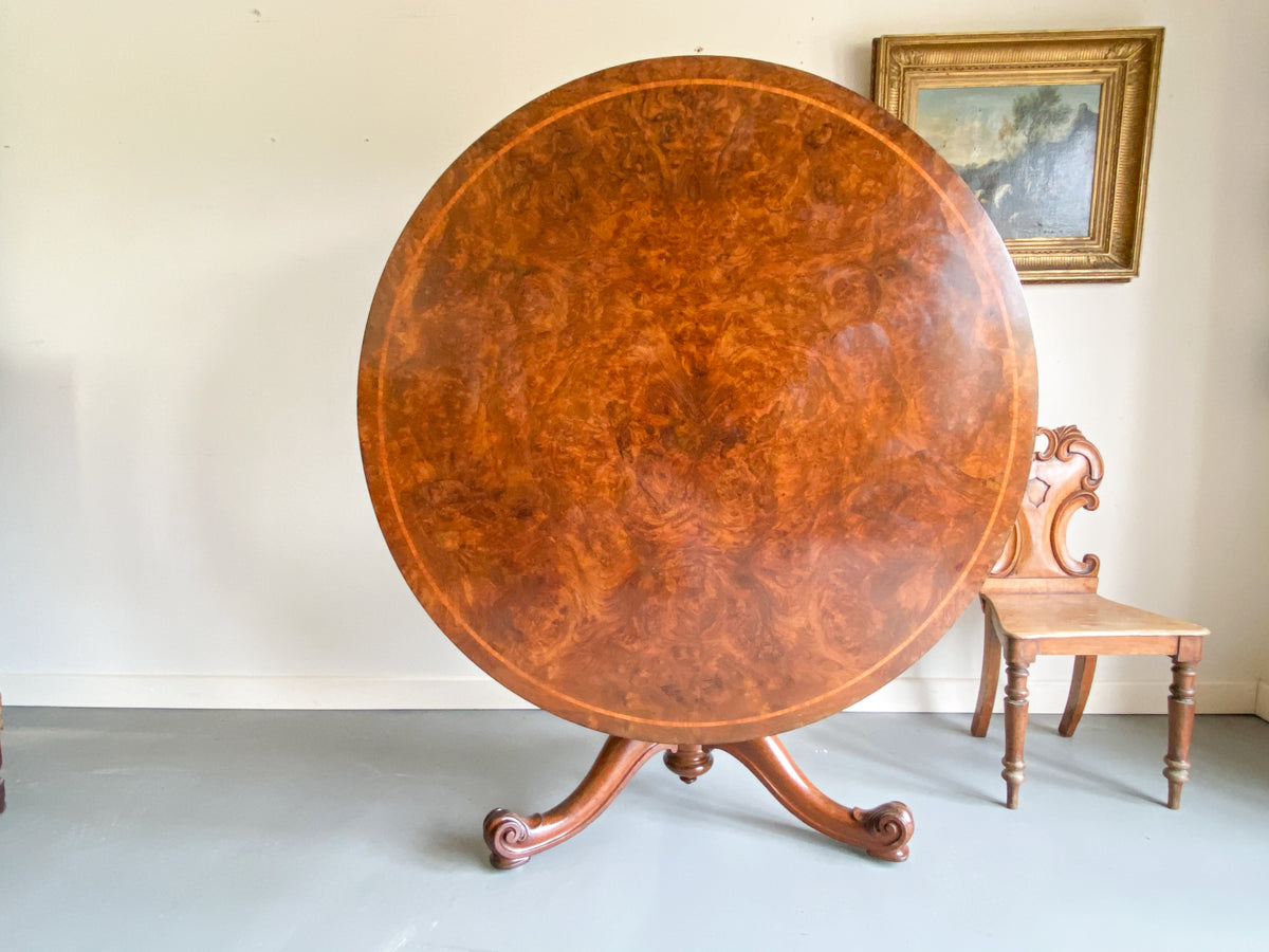 19th Century Burr Walnut and Mahogany Table