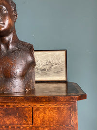 Rare Early 18th Century Walnut Bust