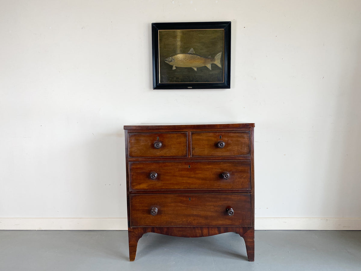 Small Regency Chest of Drawers