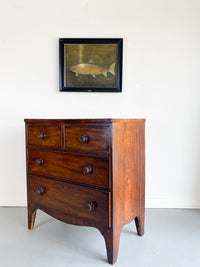 Small Regency Chest of Drawers