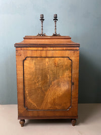 A Pair of Regency Pedestal Cabinets