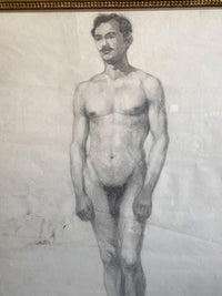 A Set of Late 19th Century Anatomical Drawings