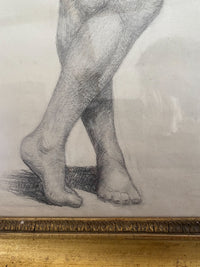 A Set of Late 19th Century Anatomical Drawings