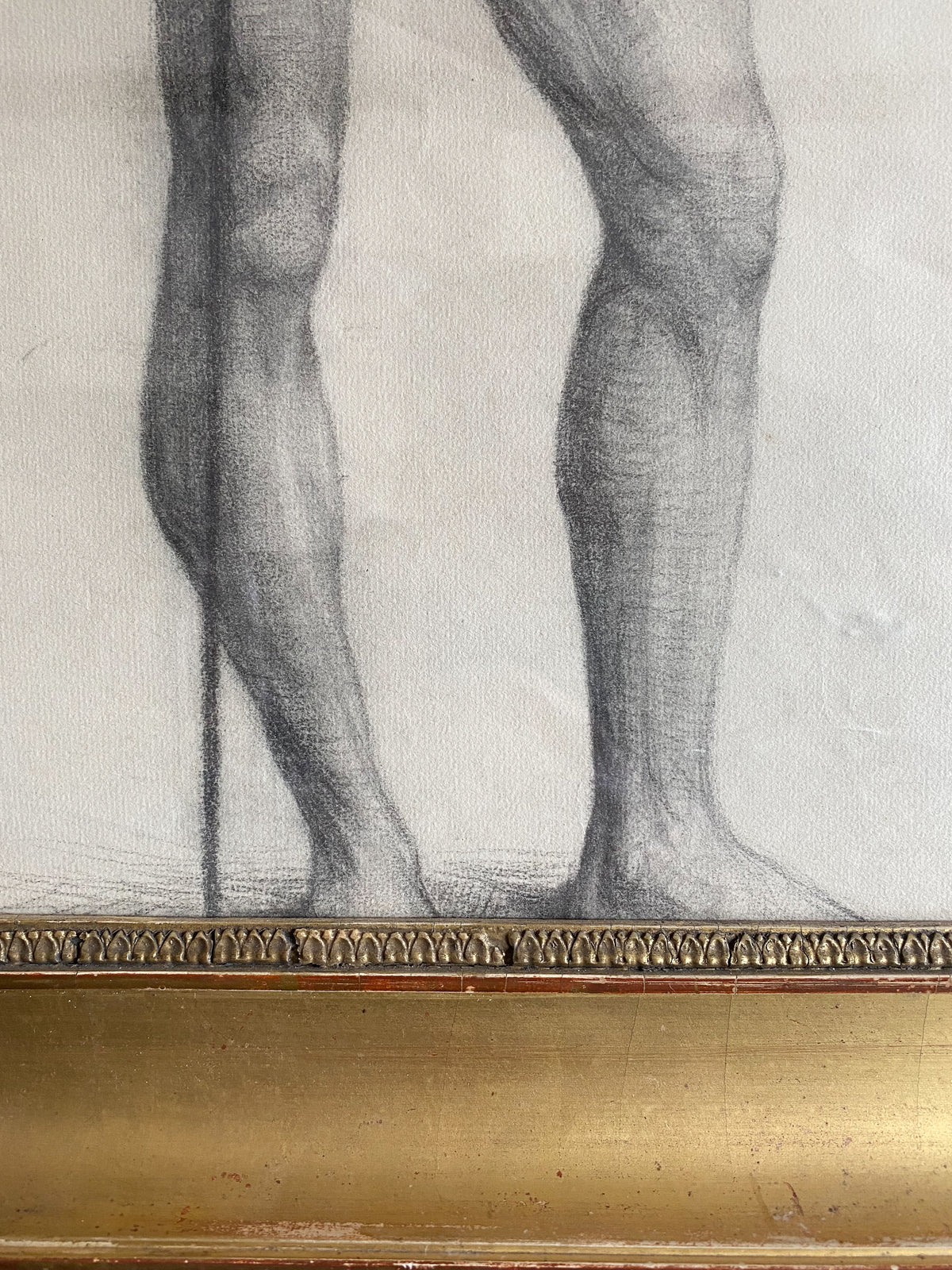 A Set of Late 19th Century Anatomical Drawings