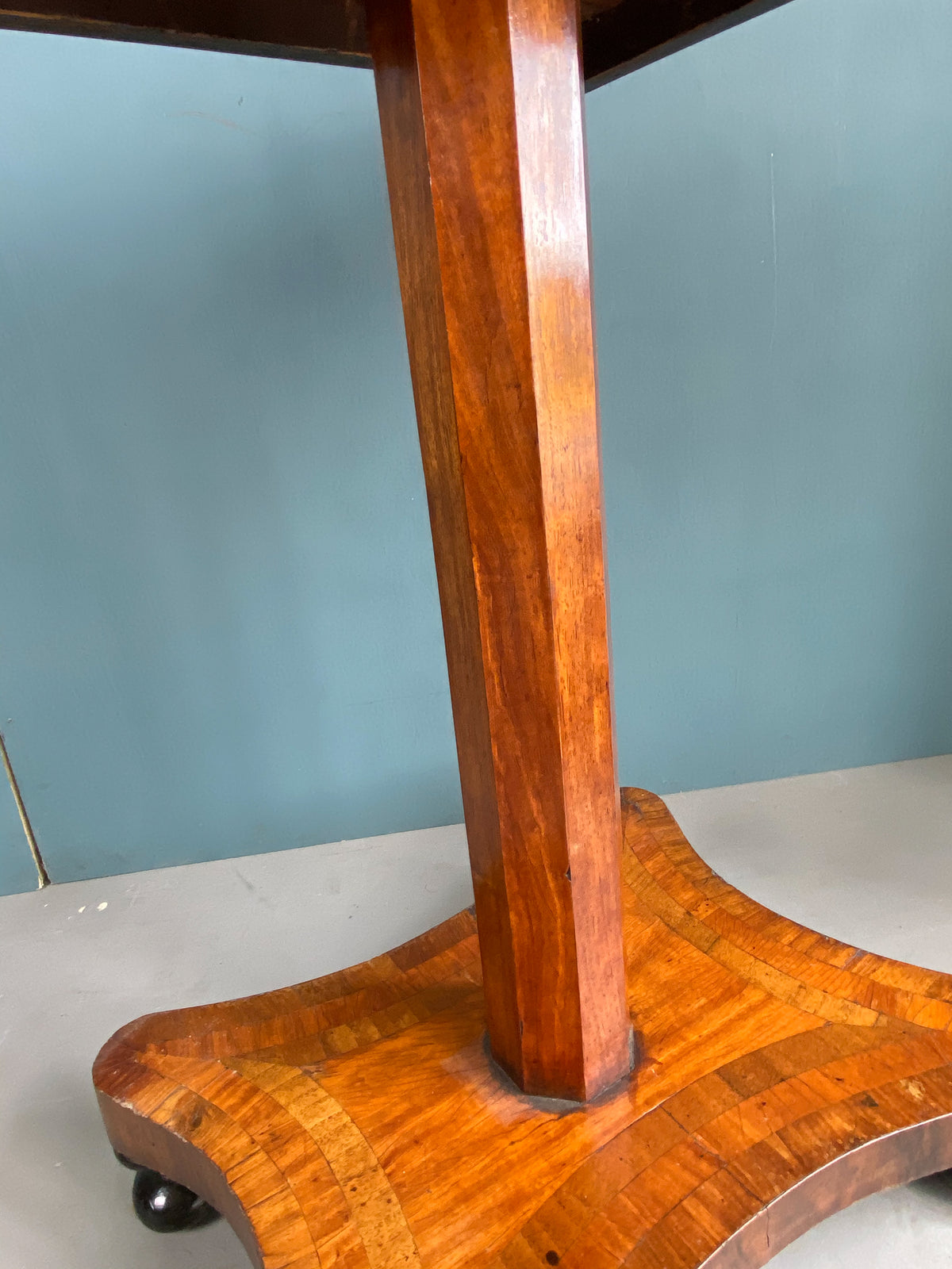 19th Century New Zealand Specimen Table